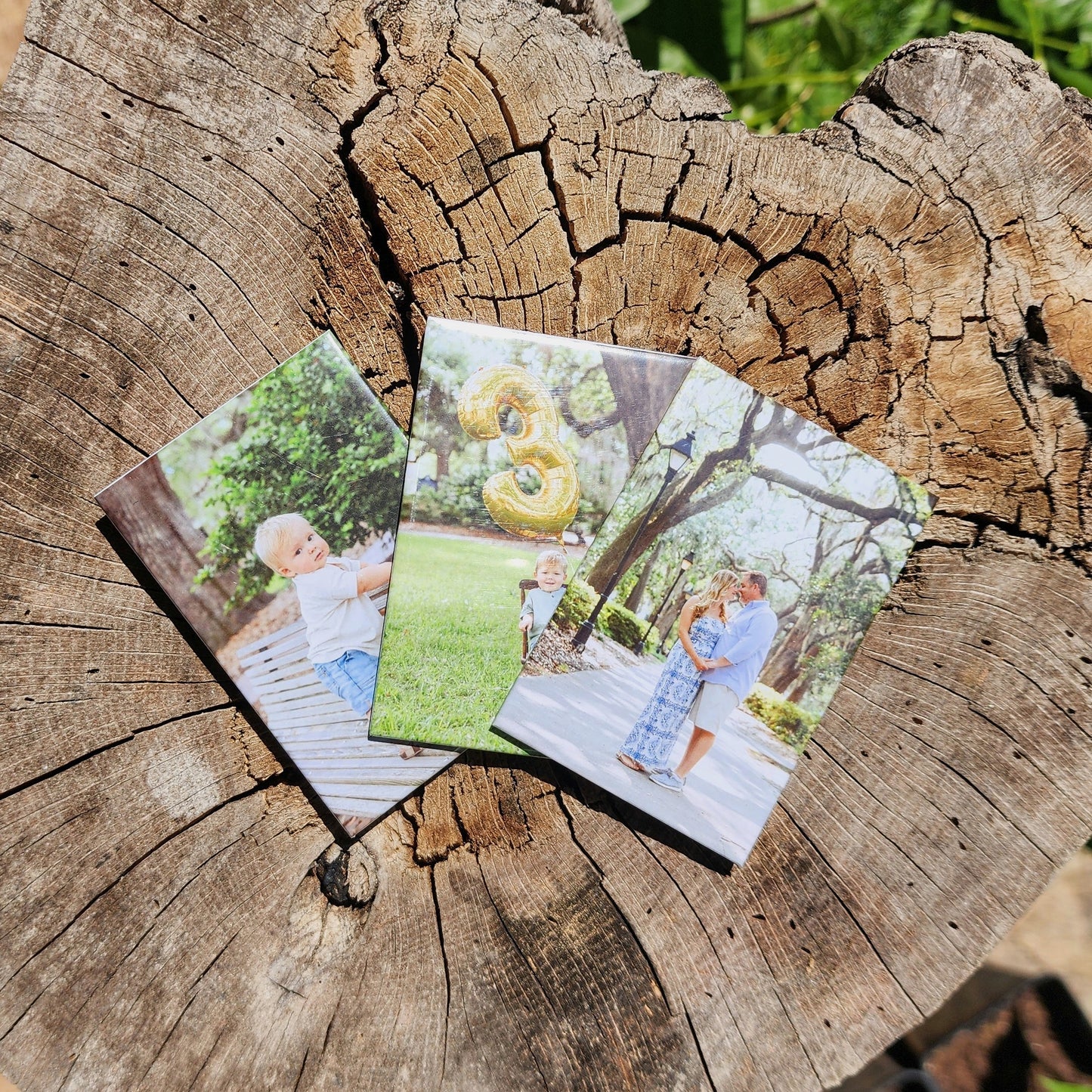 Set of 3- Free Shipping!