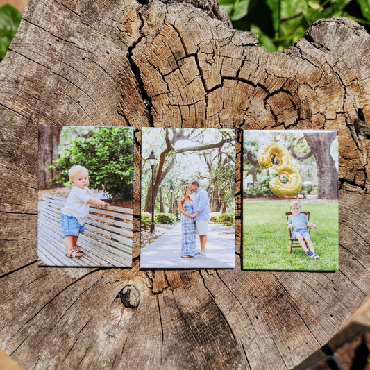 Set of 3- Free Shipping!