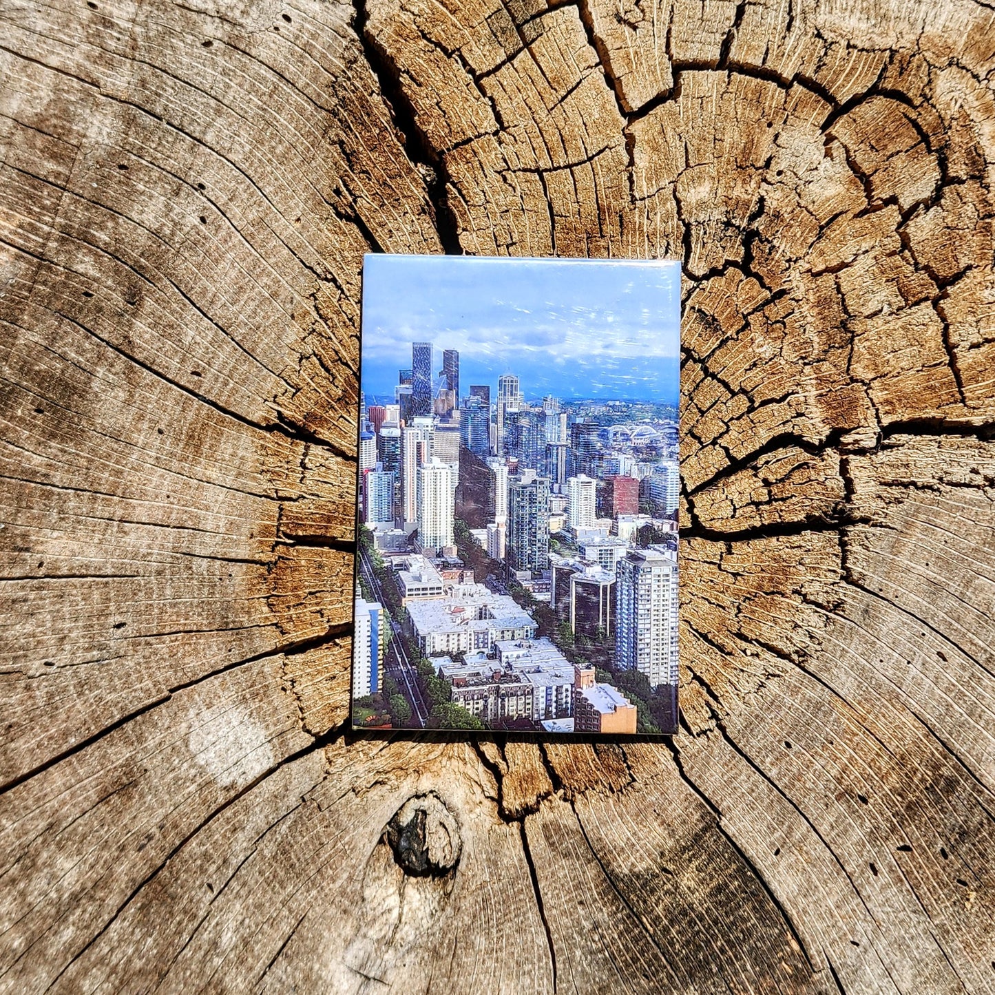 Single Magnet- Free Shipping!