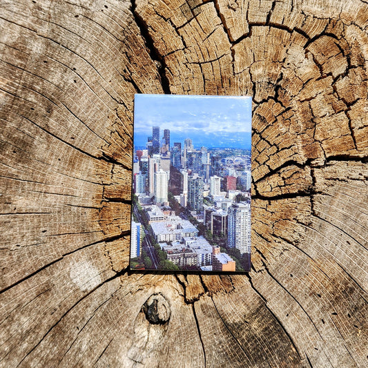 Single Magnet- Free Shipping!