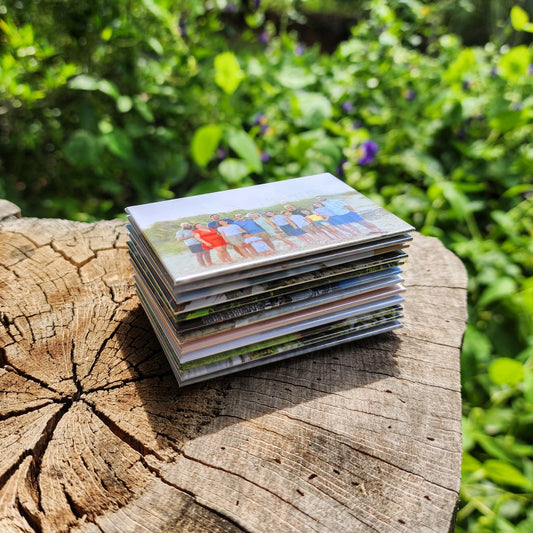 Set of 12+ - Free Shipping!