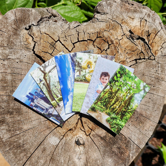 Set of 6- Free Shipping!